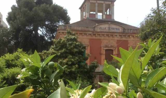 Ville antiche, mare e fiori ovunque:  Santo Spirito, il borgo dimenticato